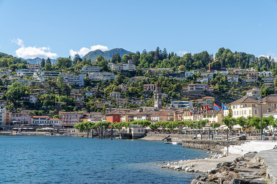 Ascona mit Lago Maggiore, Tessin, Schweiz