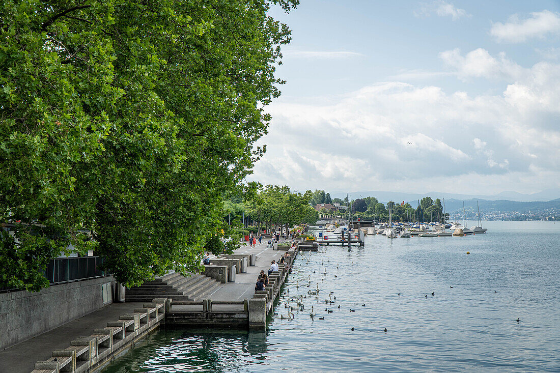 Uferpromenade mit Touristen, Zürichsee, Zürich, Schweiz