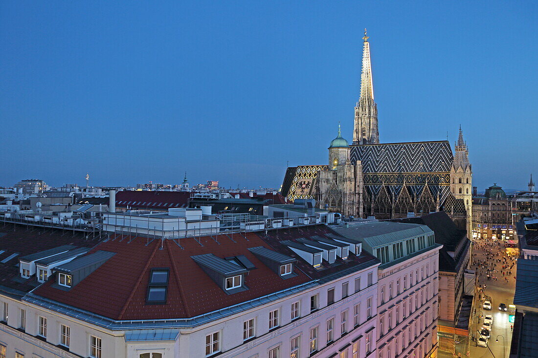 View of St. Stephen's Cathedral from the north, 1st district, Vienna, Austria