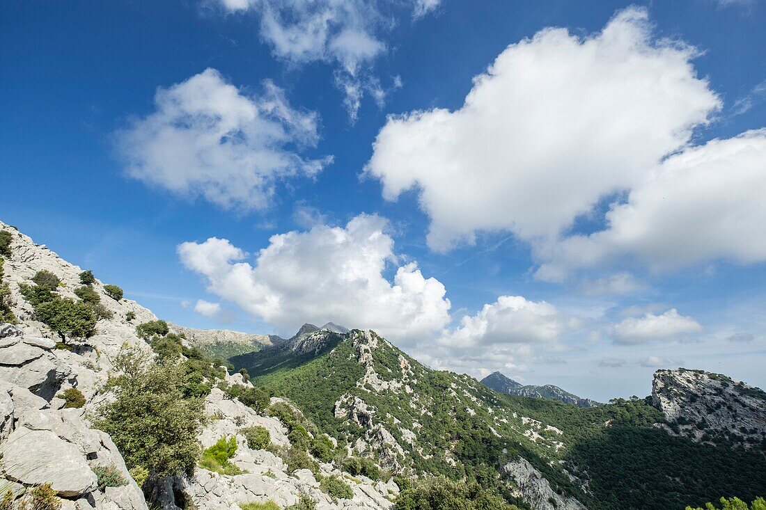 Puig de Ses Bassetes, 1212 Metres, Escorca, Paraje Natural de la Serra de Tramuntana, Mallorca, Balearen, Spain