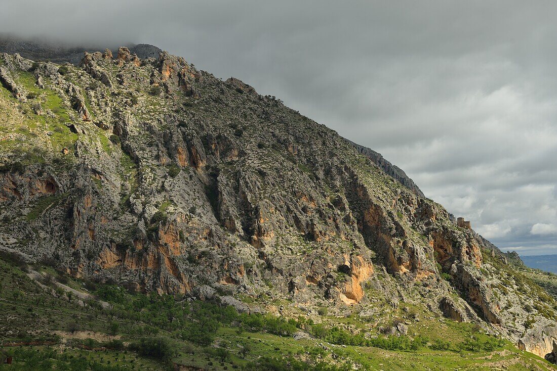 Sierra de Magina in der Nähe des Dorfes Albanchez de Magina, Provinz Jaen, Andalusien, Spanien