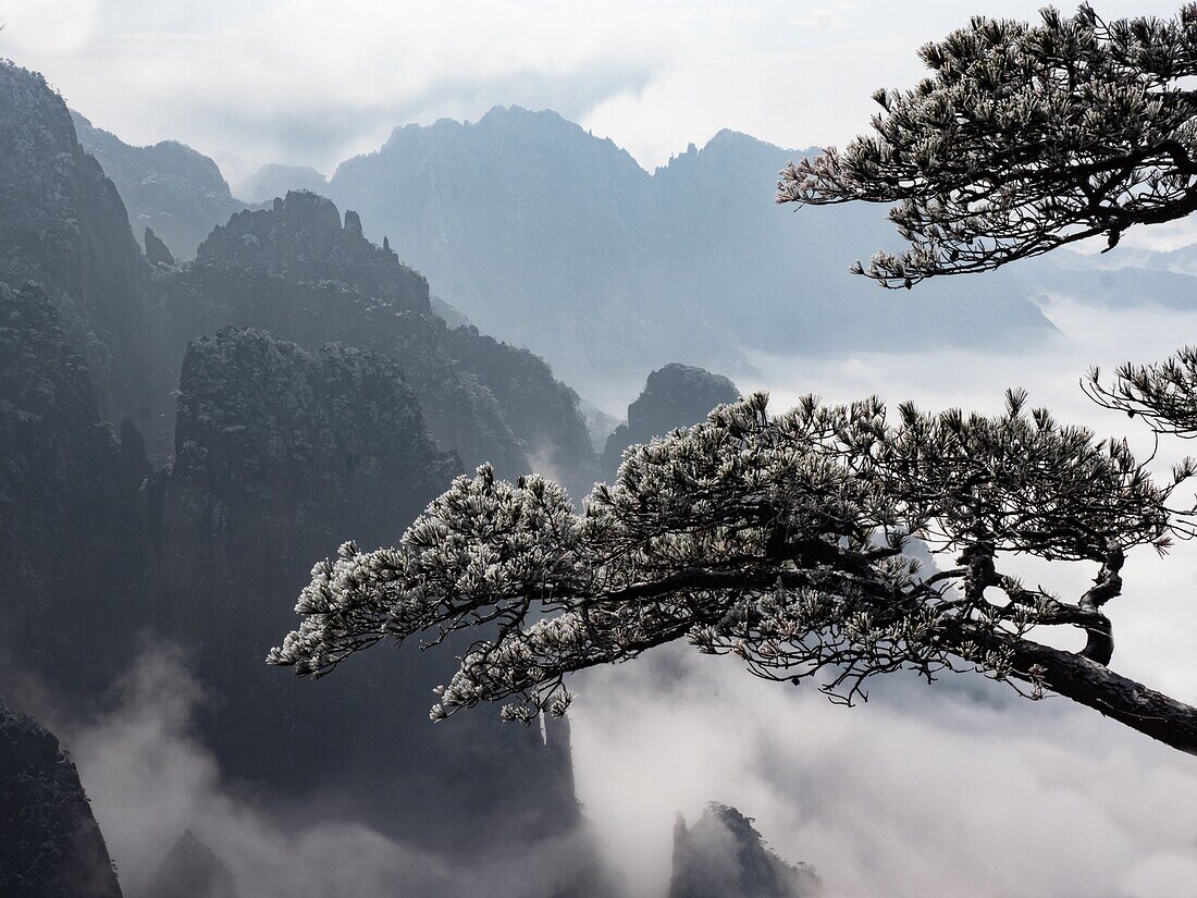 China Yellow Mountains.