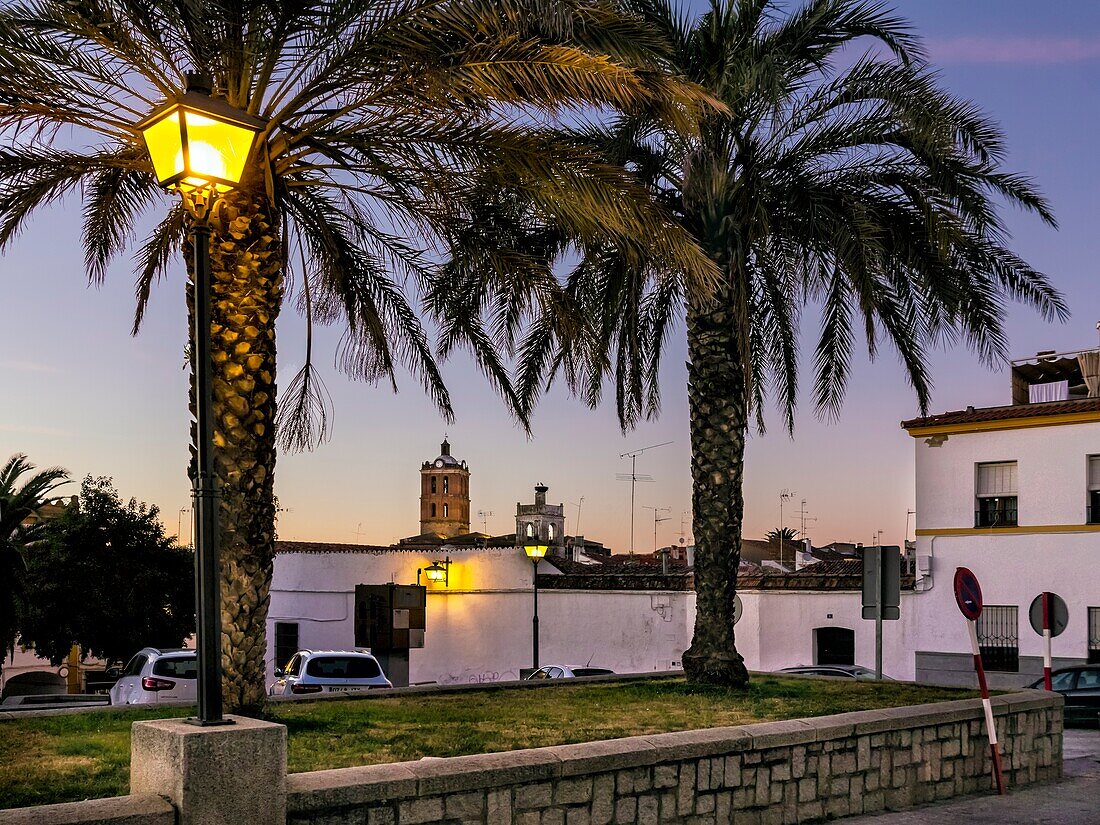 Laternenpfähle und Palmen am Platz Herz der Maria und Kirche Unserer Lieben Frau von Candelaria im Hintergrund in Zafra. Badajoz. Spanien. Europa.