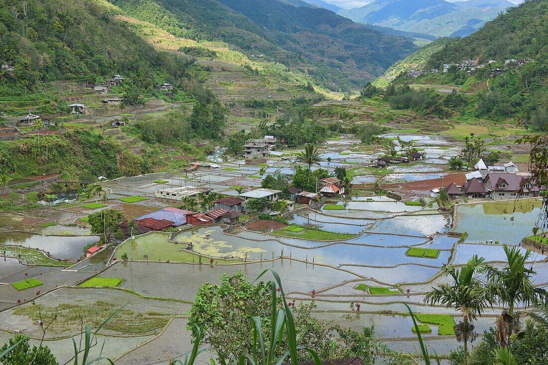 The beautiful UNESCO rice terraces in Hapao,Banaue,Mountain Province,Philippines.