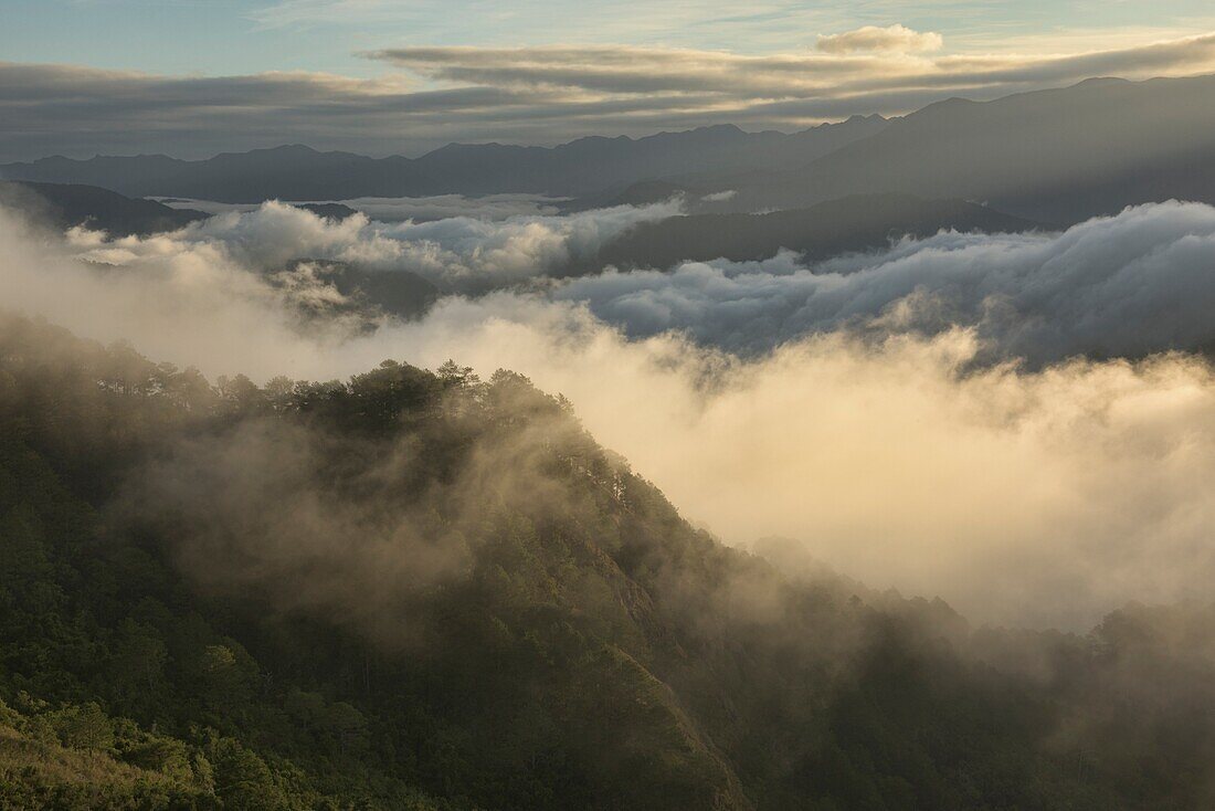 Wolkenmeer unter Kamanbaneng Peak (Marlboro Country), Sagada, Mountain Province, Philippinen.
