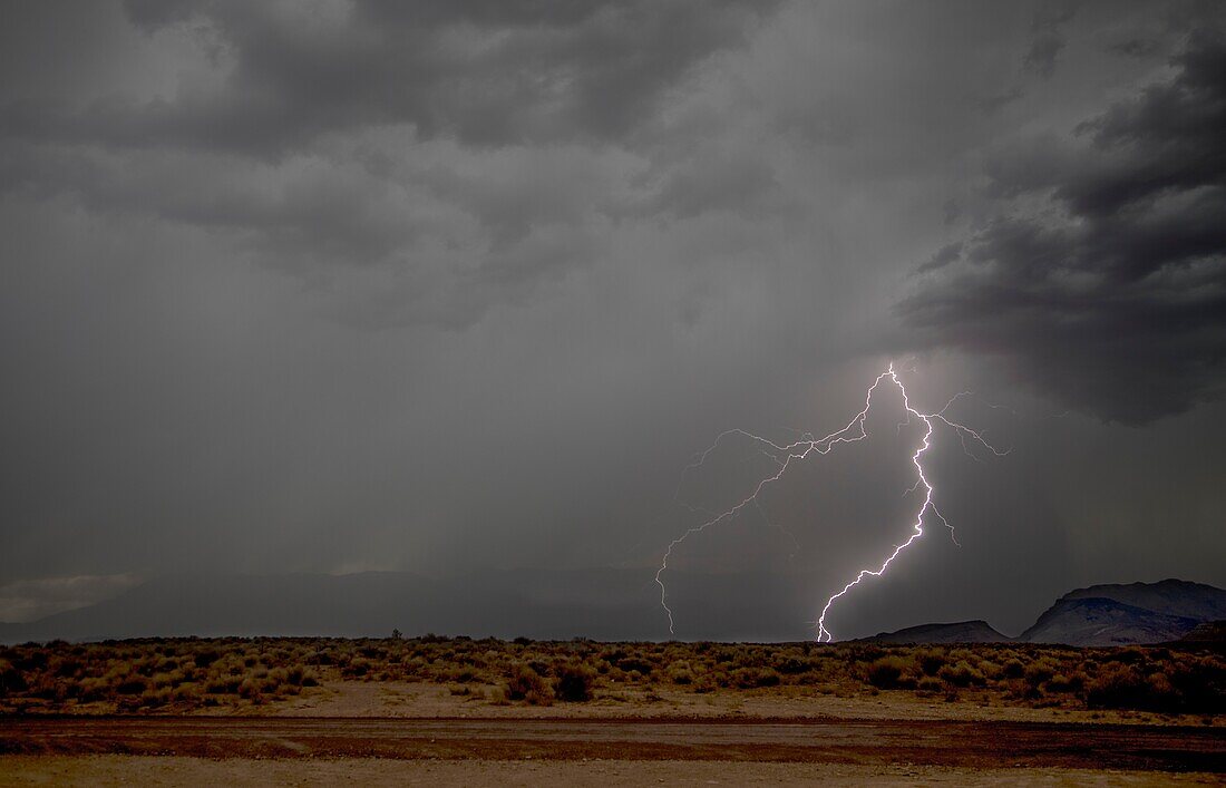 Blitze durchdringen den Himmel während eines Monsunsturms im Zion-Nationalpark, Utah.