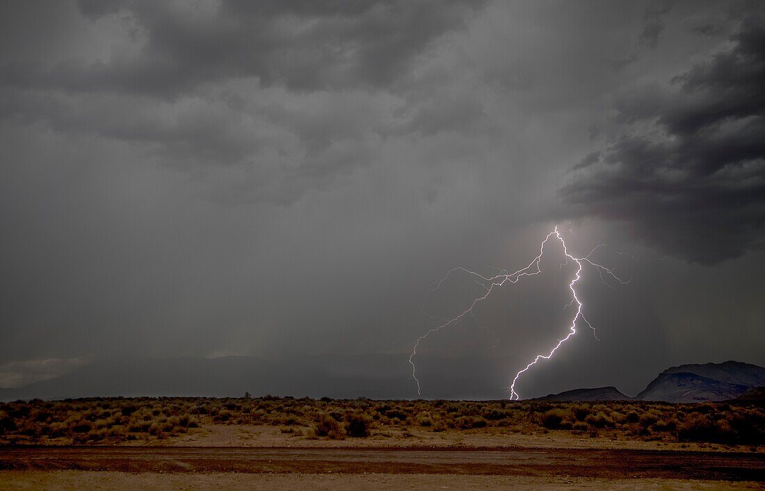 Bolts of lightning permeate the sky durimg a monsoonal storm neat Zion National Park,Utah.