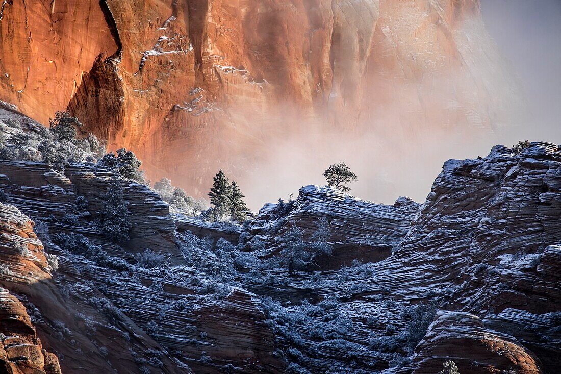 Nebel und Schnee dringen in die steilen Canyonwände des Zion-Nationalparks in Utah ein.