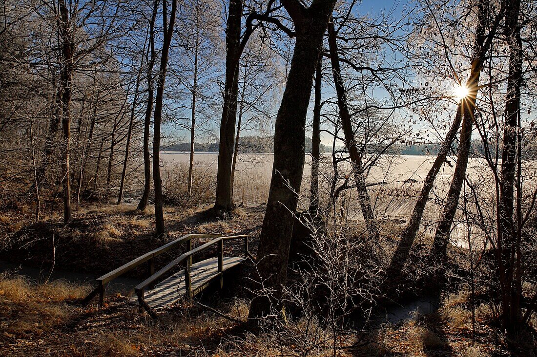 Winter landscape with frost.Bornsjon Botlyrka Sodermanland Sweden