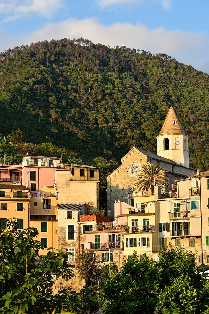 Italien, Ligurien, Nationalpark Cinque Terre, Weltkulturerbe, Corniglia.