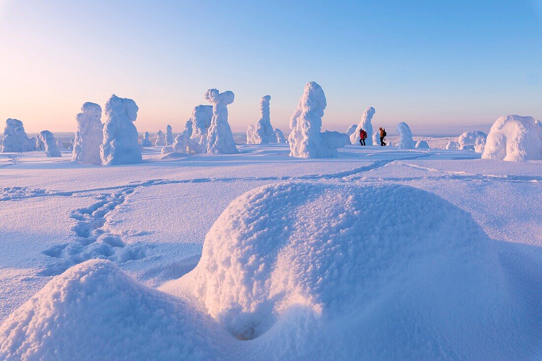 Wanderer im verschneiten Wald, Nationalpark Riisitunturi, Posio, Lappland, Finnland.