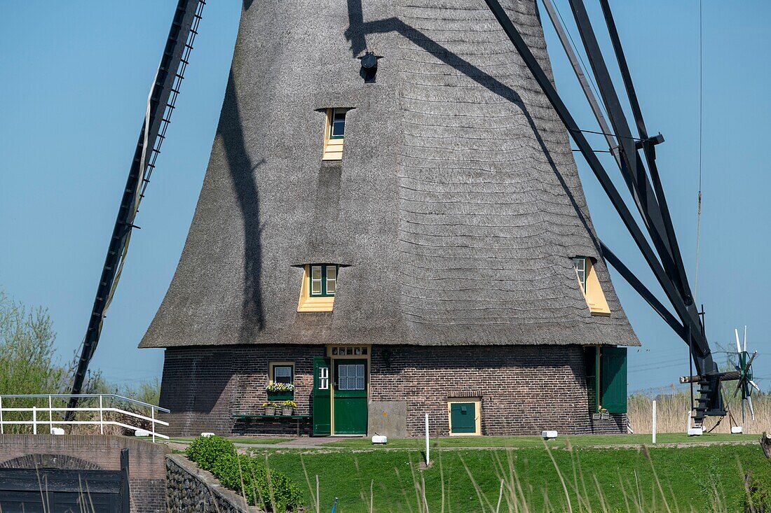 Niederlande, Kinderdijk, 2017, ikonisches Kulturerbe mit 19 Windmühlen aus dem 18. Jahrhundert