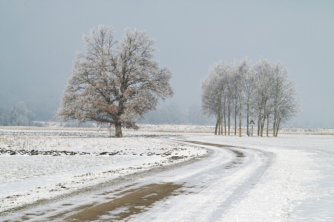 Kurvenreiche Straße im Winter teilweise mit Schnee bedeckt in flacher Landschaft, Bayern, Deutschland