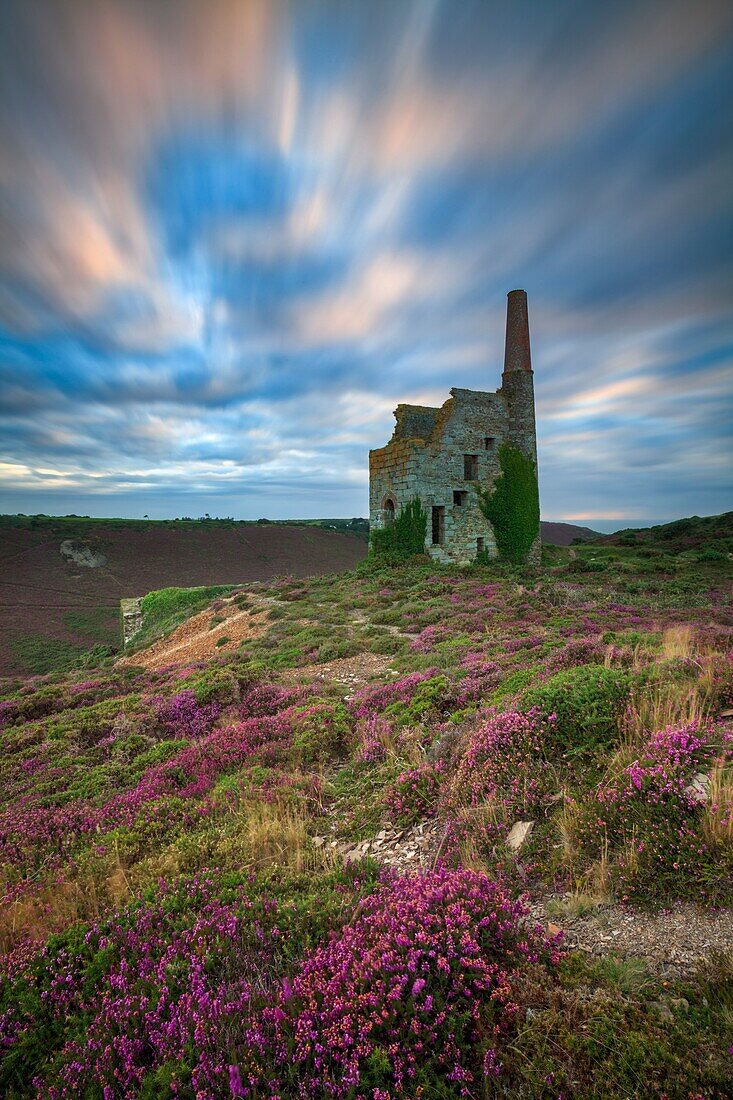 Tywarnhayle Engine House in der Nähe von Porthtowan in Cornwall, aufgenommen kurz vor Sonnenuntergang Ende Juli, als die Heide blühte.