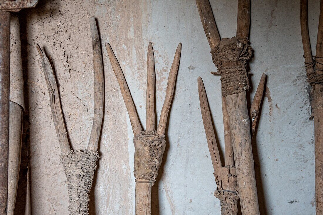 Rohe hölzerne Heugabeln, die von Berber-Nomaden, Tighmert-Oase, Marokko, verwendet werden.