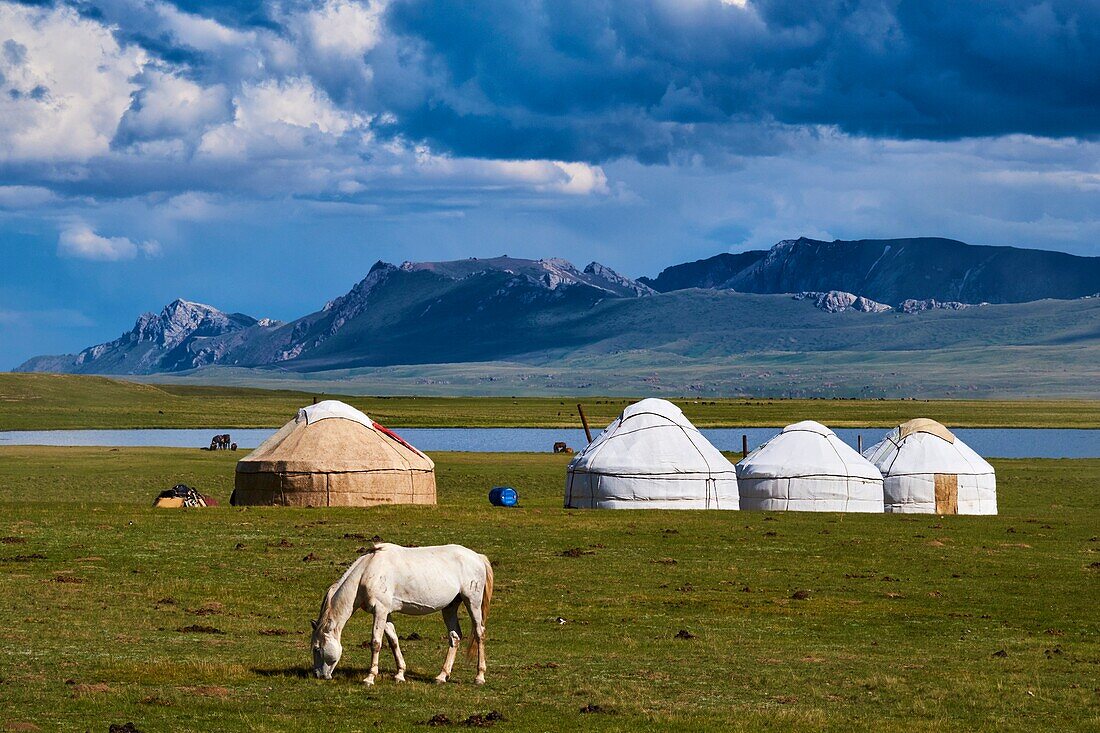 Kirgisistan, Provinz Naryn, See Song Kol, Jurtenlager der kirgisischen Nomaden.