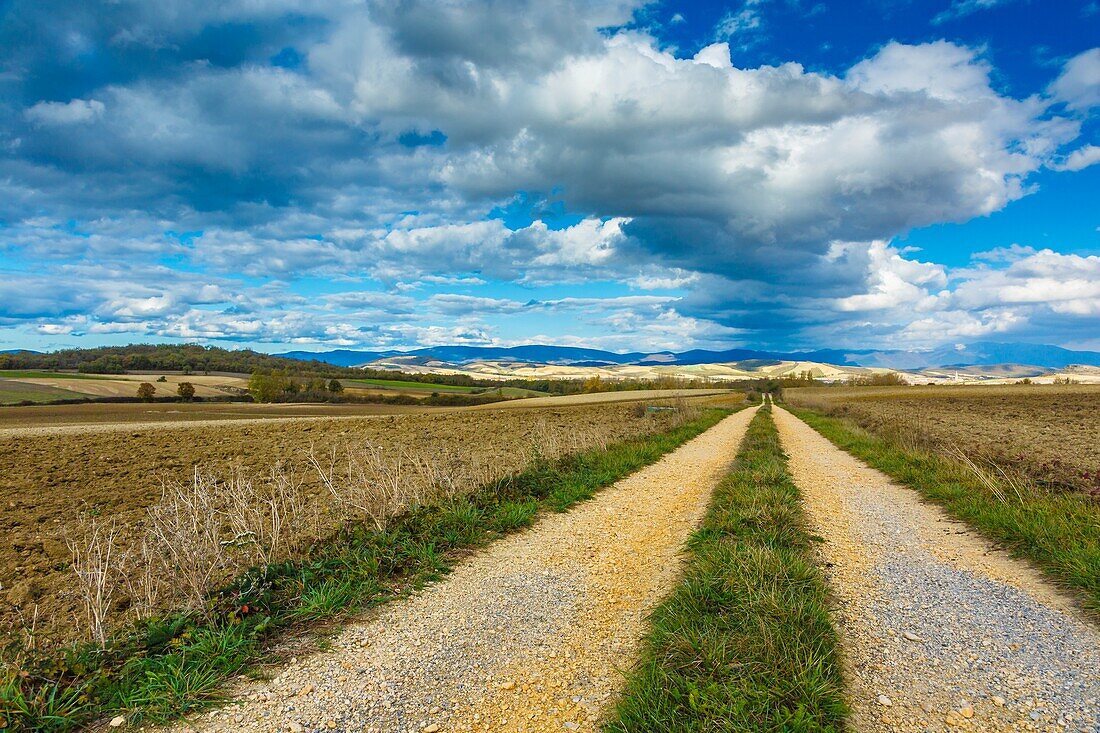 Weg in einer Agrarlandschaft. Trokoniz. Alava, Spanien, Europa.