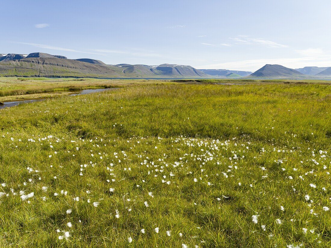 Landschaft am Fjord Dyrafjoerdur. Die abgelegenen Westfjorde (Vestfirdir) im Nordwesten Islands. Europa, Skandinavien, Island.
