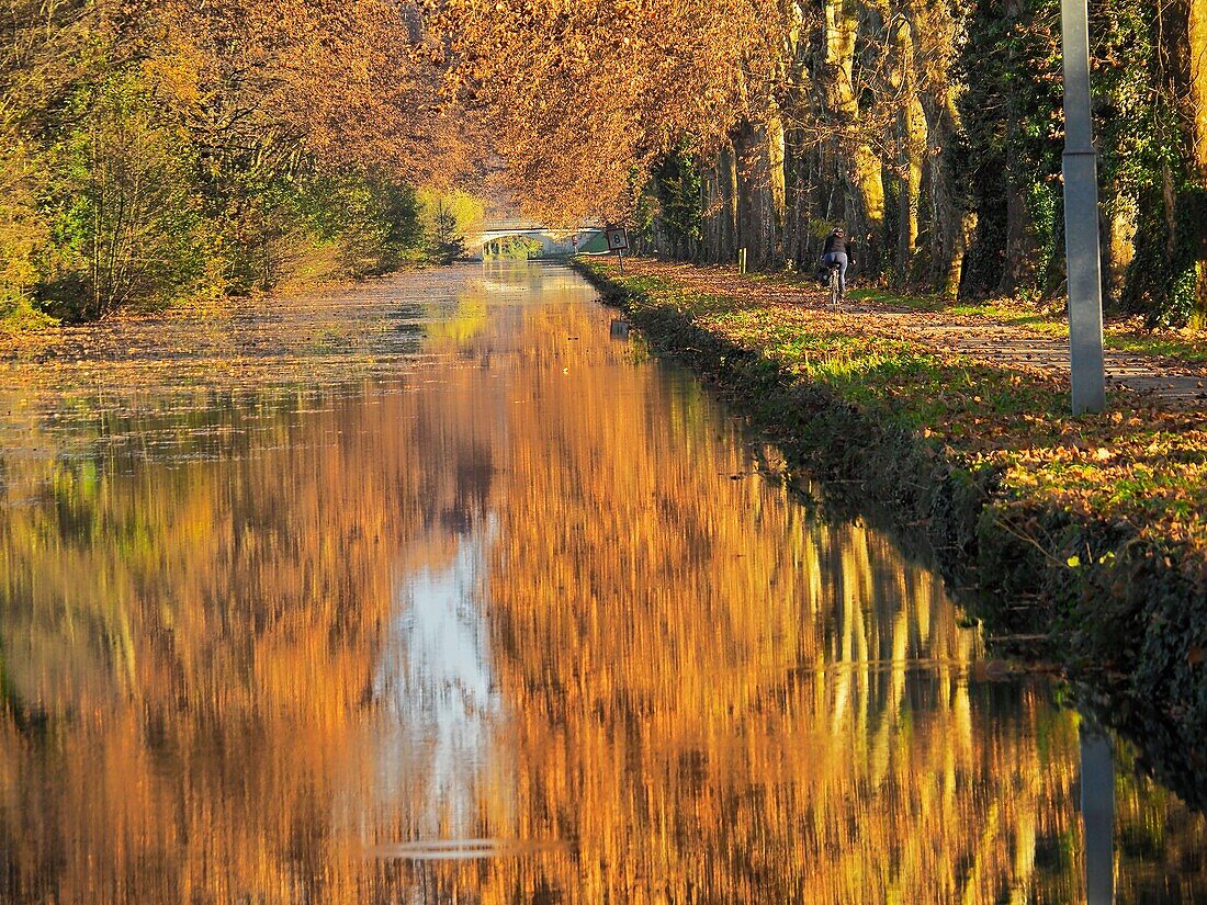 Canal de Garonne in der Nähe von Marmande im Herbst, Departement Lot-et-Garonne, Nouvelle Aquitaine, Frankreich.