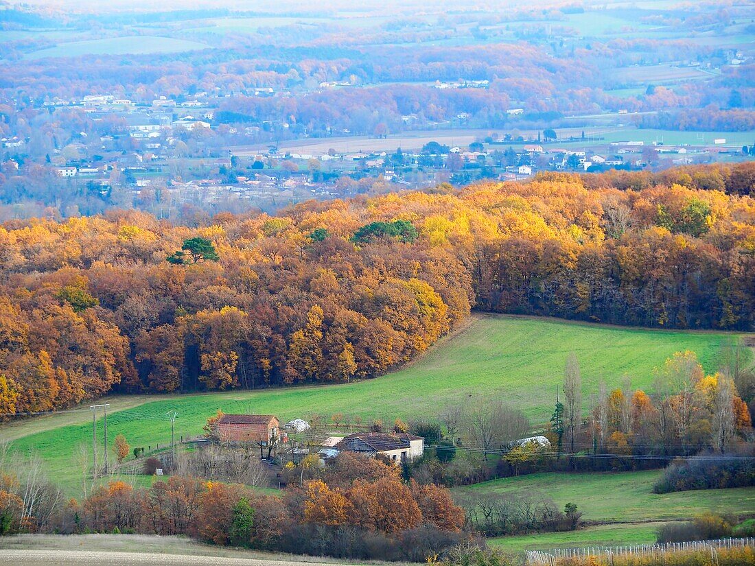 Blick auf die Landschaft von Monsegur, Departement Lot-et-Garonne, Nouvelle Aquitaine, Frankreich.