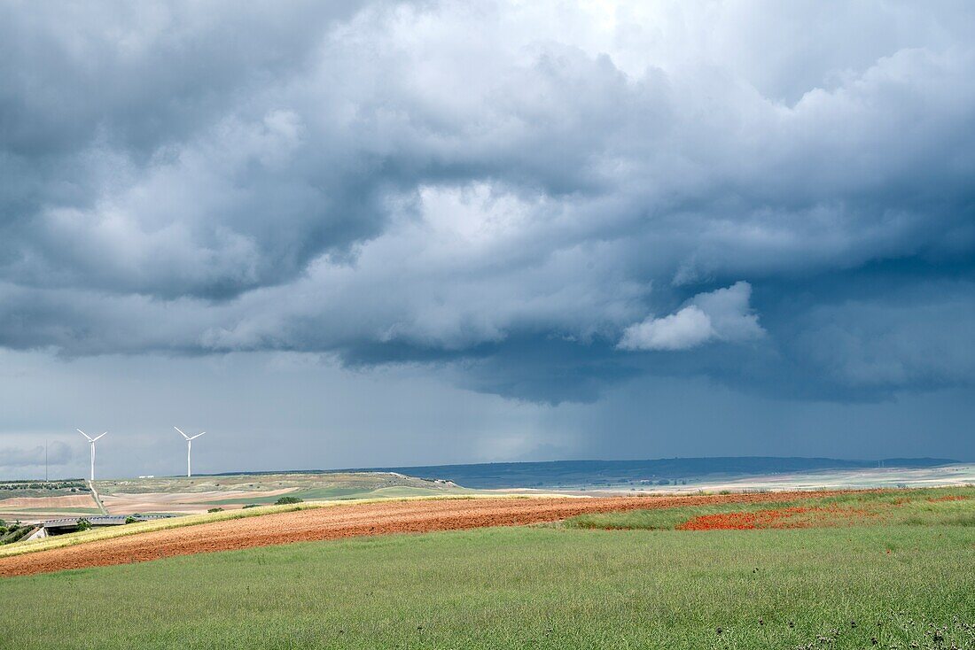 Landschaft mit dramatischem Himmel in der Nähe von Zamora, Kastilien und Leon, Spanien.