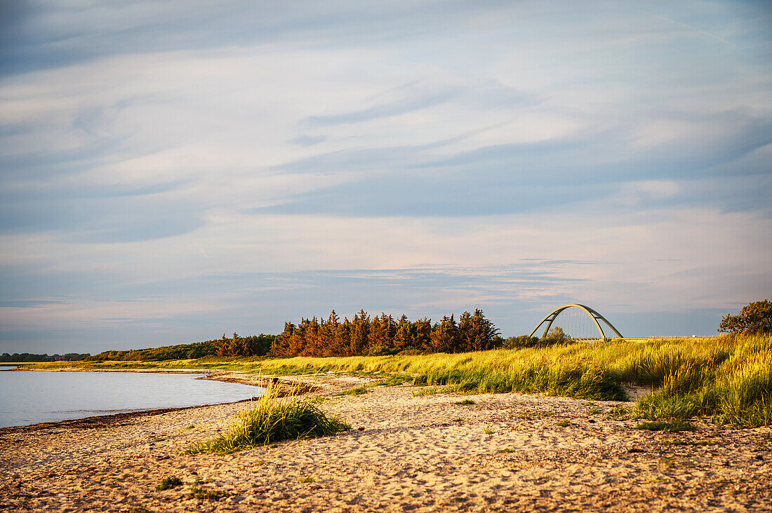 Blick auf die Fehmarn-Sund-Brücke bei Grossenbrode im Abendlicht, Ostsee, Ostholstein, Schleswig-Holstein, Deutschland