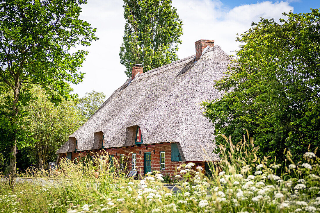 Thatched cottage in Ostholstein, Schleswig-Holstein, Germany