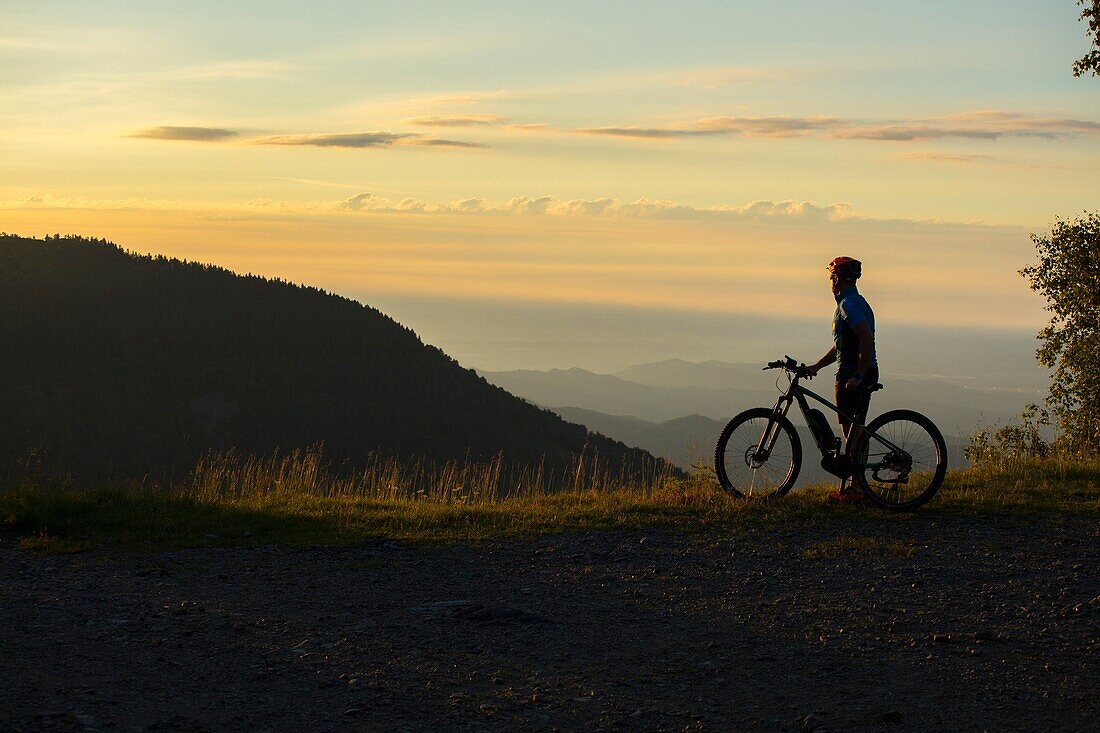 Silhouette of cyclist, Poggio Cossato, Biella, Piedmont, Italy, Europe