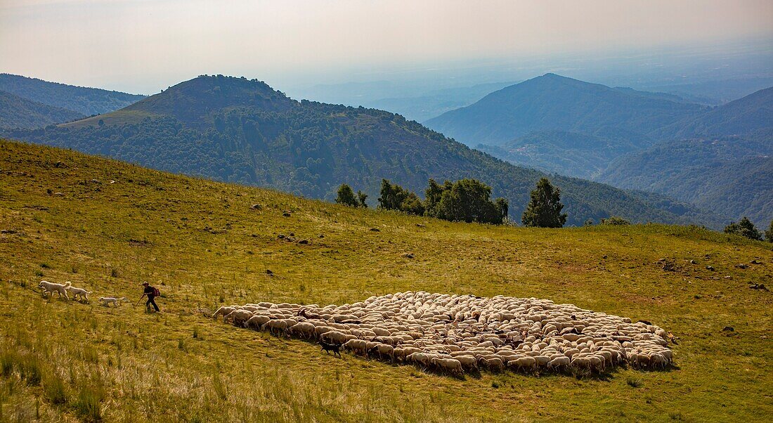 Localita Cascina Lunga, Biella, Piemont, Italien, Europa