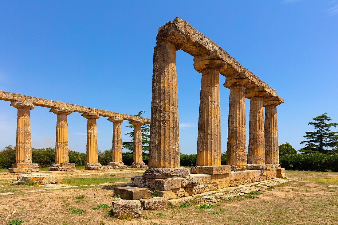 Tempel der Hera (Pfalztafel), Bernalda, Matera, Basilicata, Italien, Europa