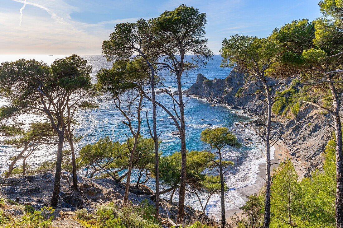 Mont Salva, Six-Fours-les-Plages, Provence-Alpes-Cote d'Azur, Frankreich, Mittelmeer, Europa