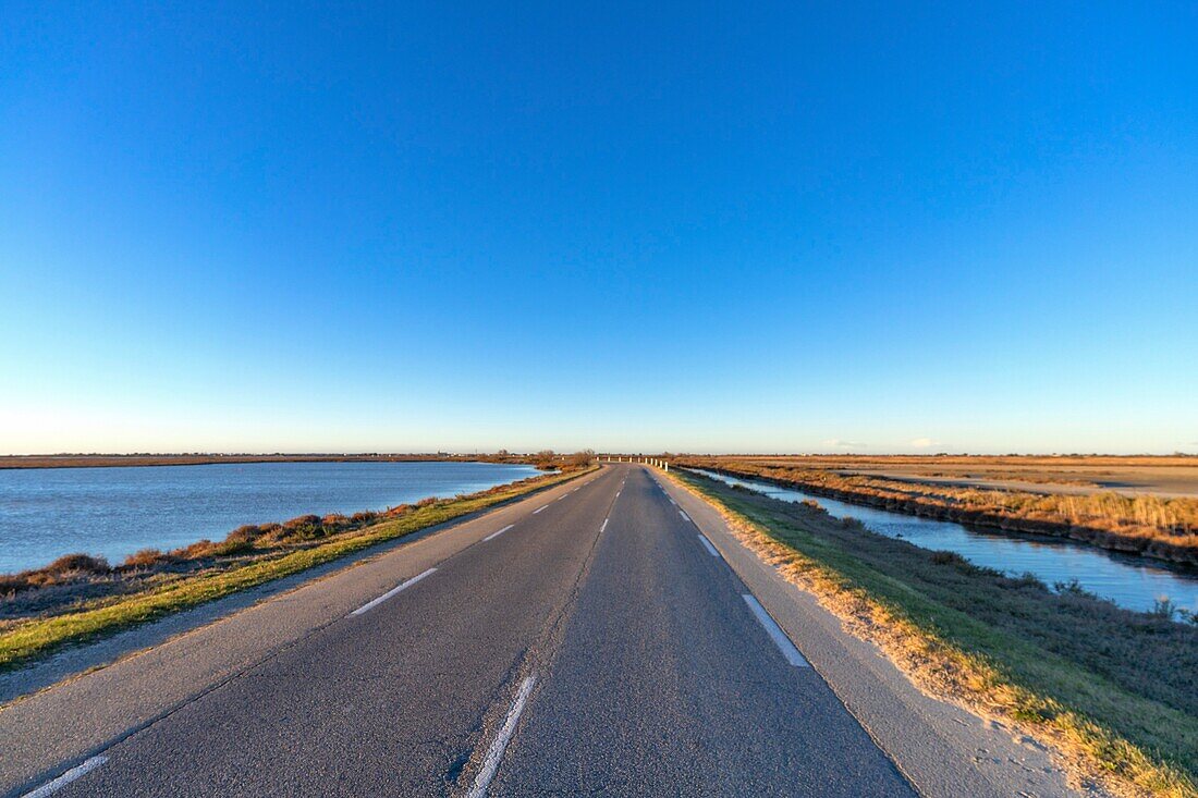 Route de Caharel, Saintes-Maries-de-la Mer, Camargue, Bouches du Rhone, Provence-Alpes-Cote d'Azur, France, Mediterranean, Europe