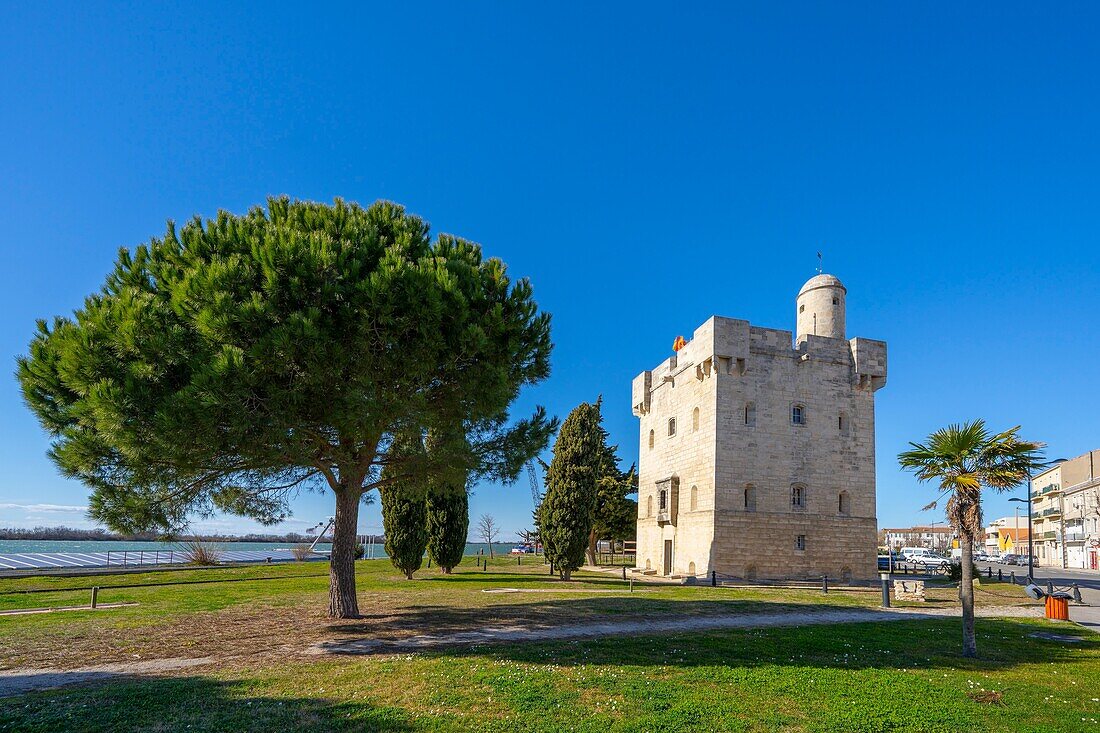 The Saint-Louis tower, Port-Saint-Louis-du-Rhone, Bouches-du-Rhone, Provence-Alpes-Cote d'Azur, France, Mediterranean, Europe