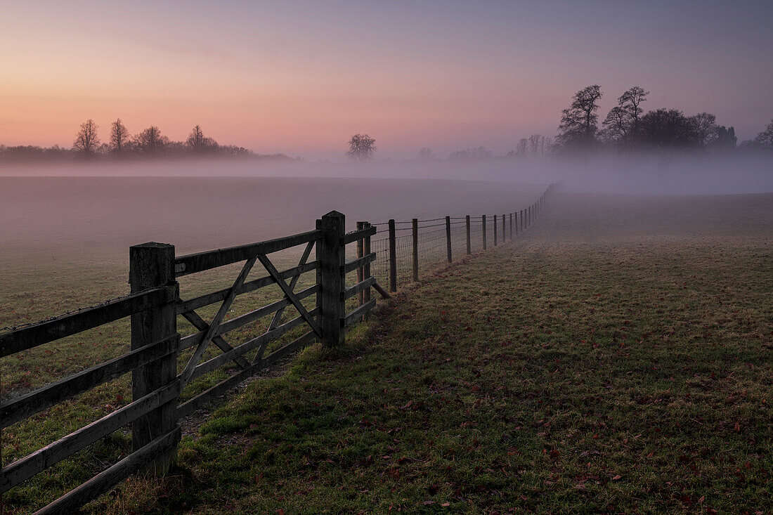 Eingezäuntes Feld voller Nebel bei Sonnenuntergang, Chelford, Cheshire, England, Vereinigtes Königreich, Europa