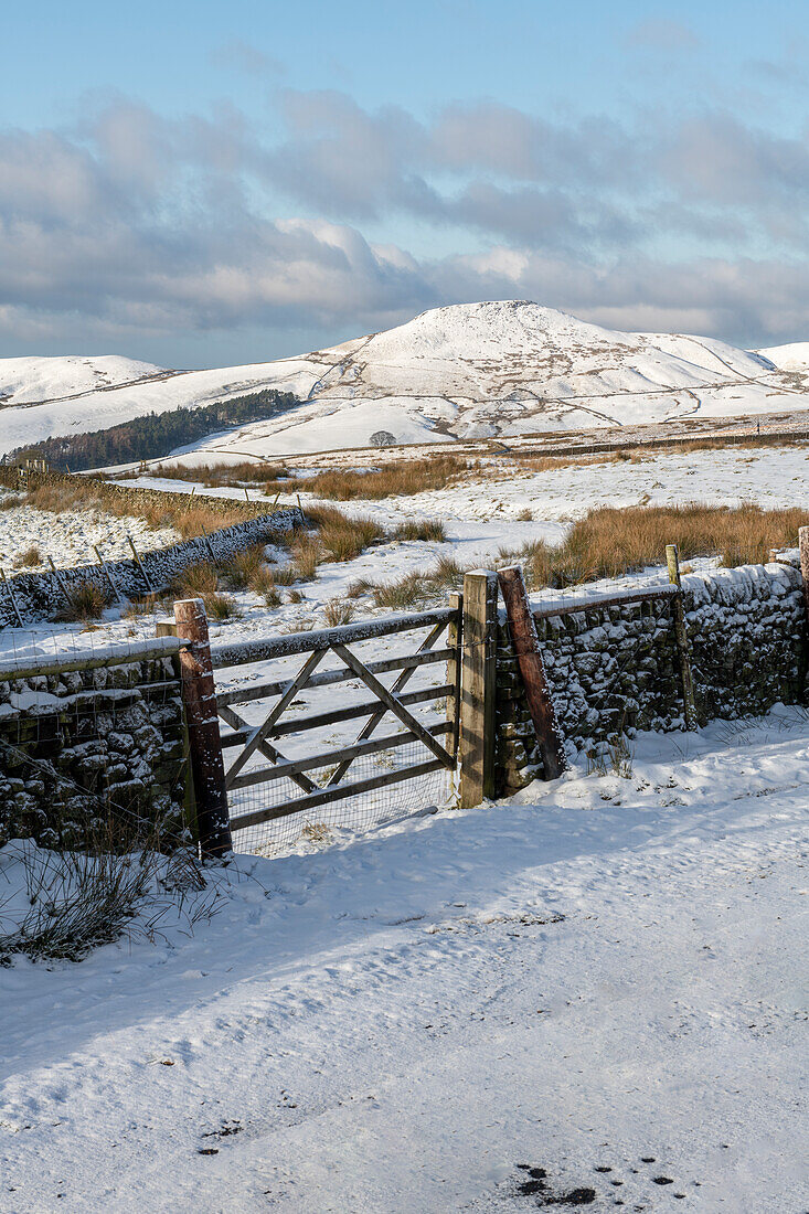 Winterszene mit Blick auf Shutlingsloe, Wildboarclough, Cheshire, England, Vereinigtes Königreich, Europa