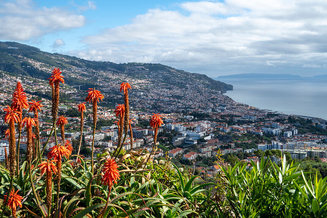 Elevated view of the city, Funchal, Madeira, Portugal, Atlantic, Europe