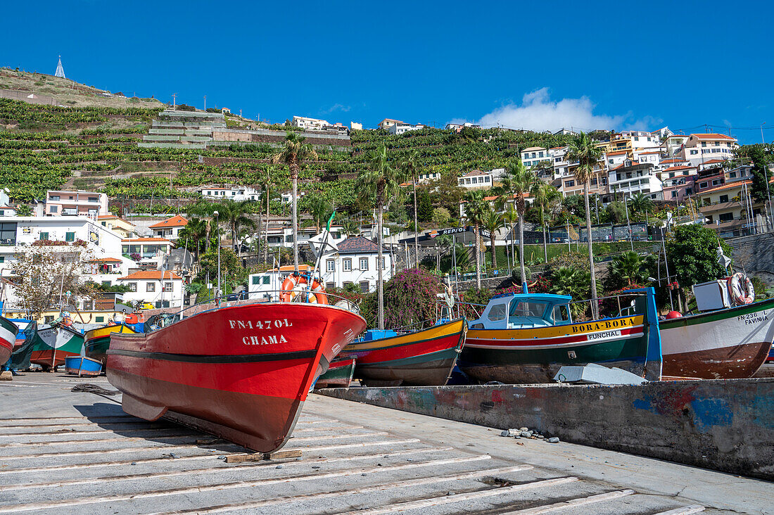 Fishing boats at Camara de Lobos, Funchal, Madeira, Portugal, Atlantic, Europe