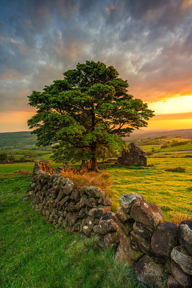 Spektakulärer Sonnenuntergang am Roach End mit verfallener Scheune, The Roaches, Staffordshire, England, Vereinigtes Königreich, Europa