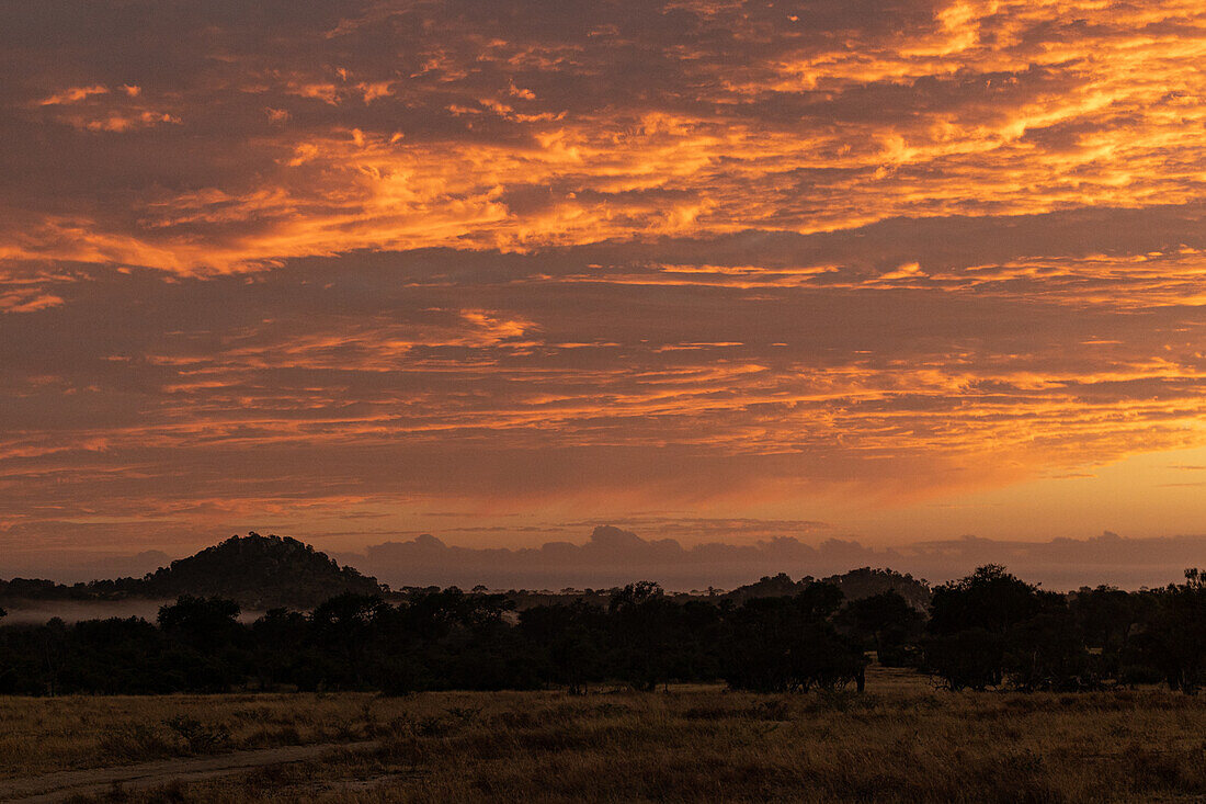 A sunrise over African savanna terrain