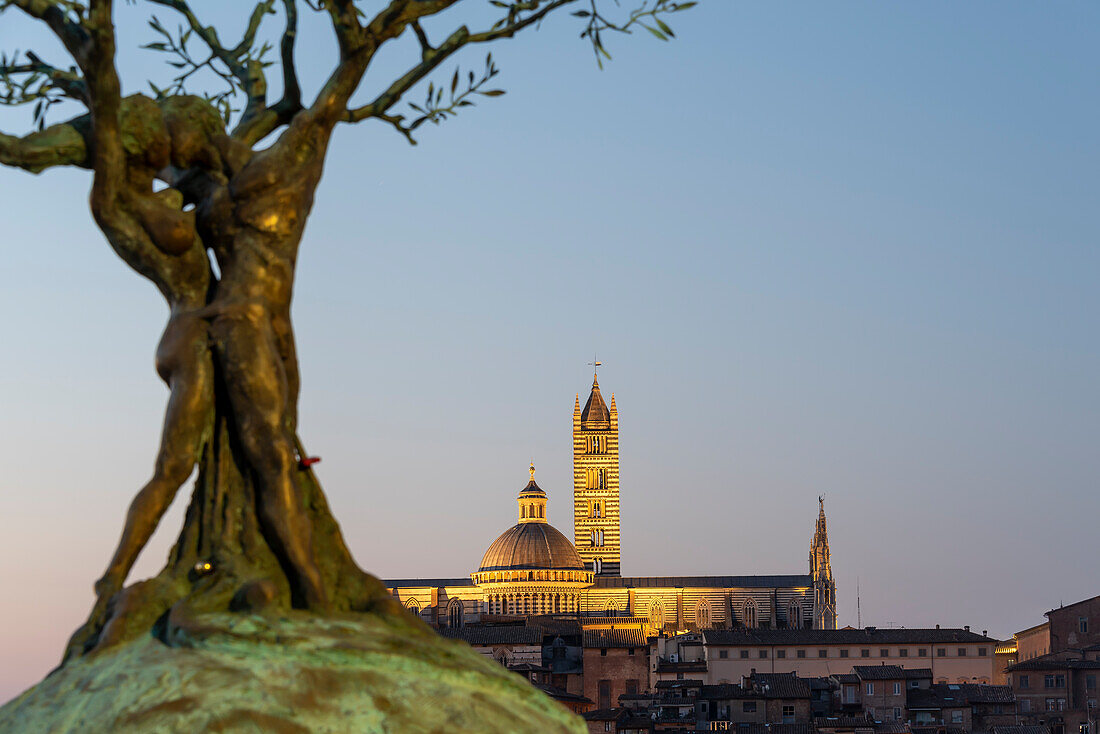 Dom von Siena, Cattedrale di Santa Maria Assunta, UNESCO-Welterbe, Siena, Toskana, Italien