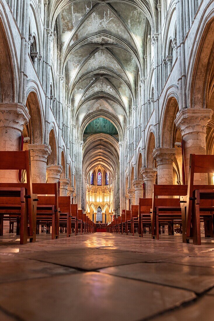 main nave and choir, interior of the saint-pierre cathedral, norman ogival (gothic) style, sainte-therese watches over the sunday mass, lisieux, pays d'auge, calvados, normandy, france