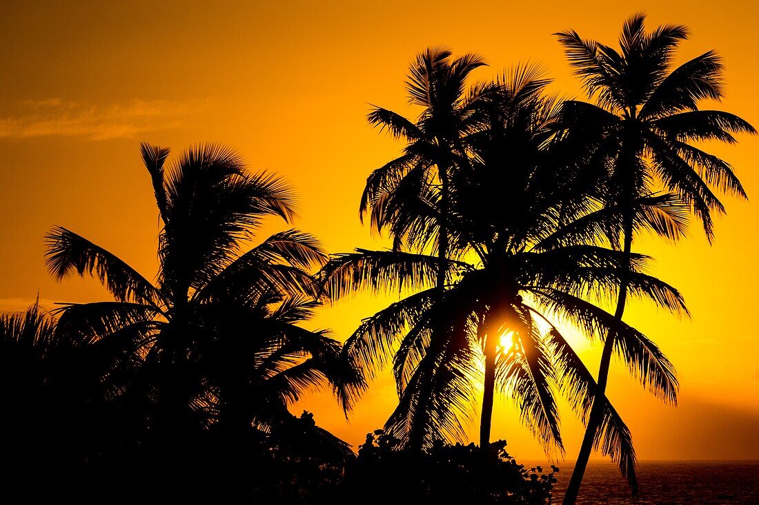 Sonnenaufgang über dem Malecon, Santo Domingo, Dominikanische Republik