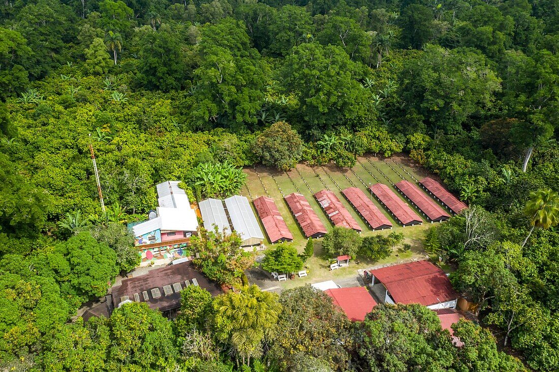 el sendero del cacao plantation, hacienda la esmeralda las pajas, san francisco de macoris, dominican republic