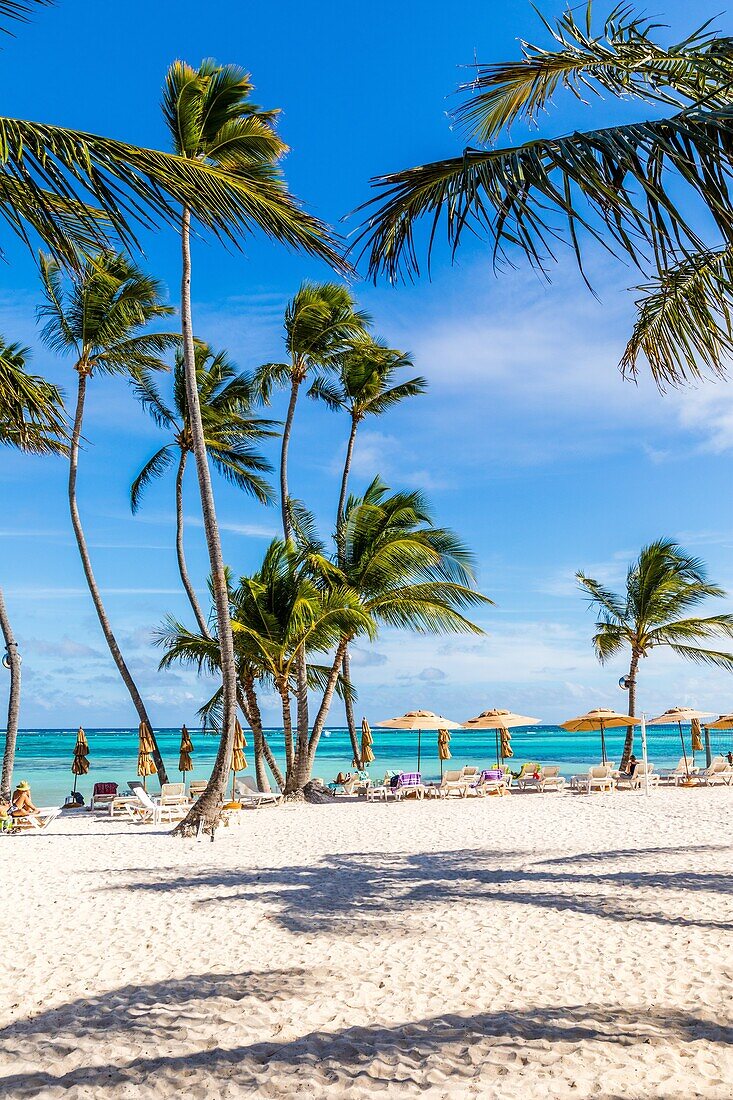 Illustration des Rückgangs der Buchungen für das Resort The Beach At The Westin Punta Cana Resort & Club, Dominikanische Republik