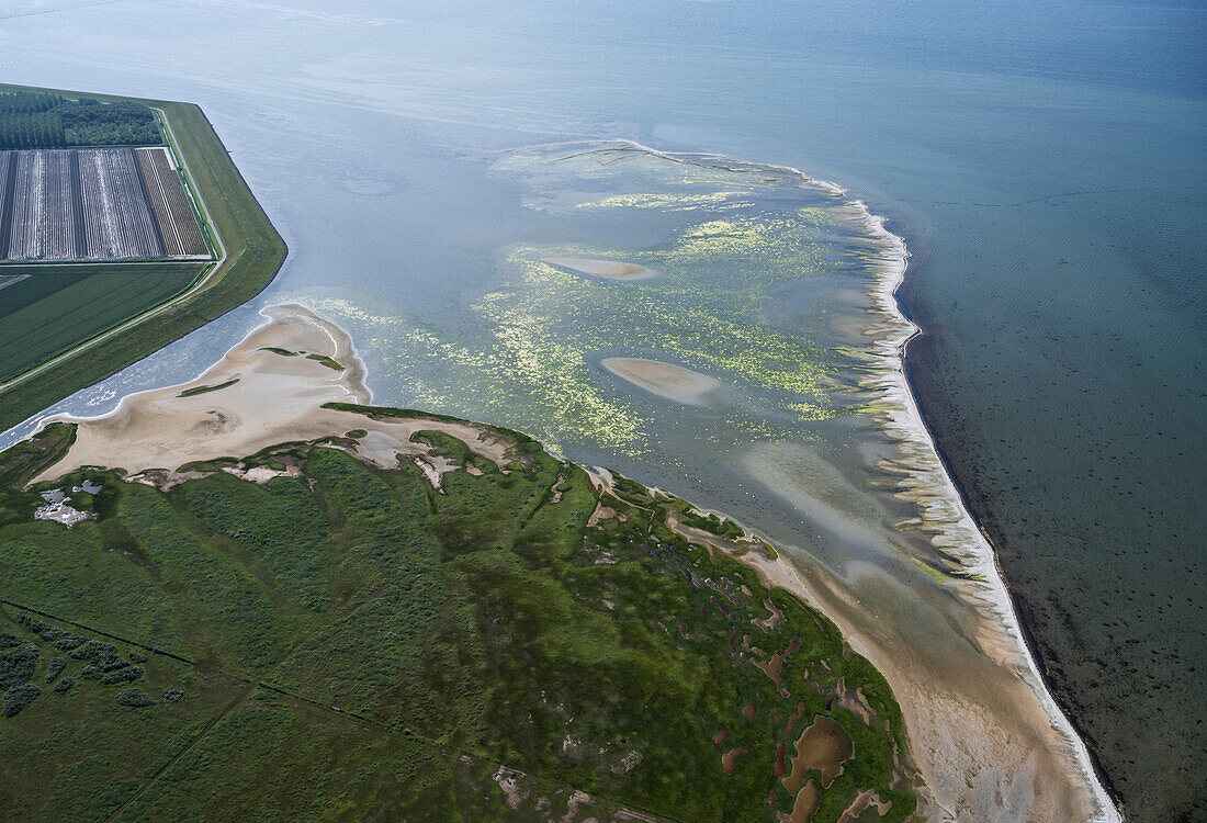 Netherlands, Zuid-Holland, Herkingen, Aerial view of polder and sea
