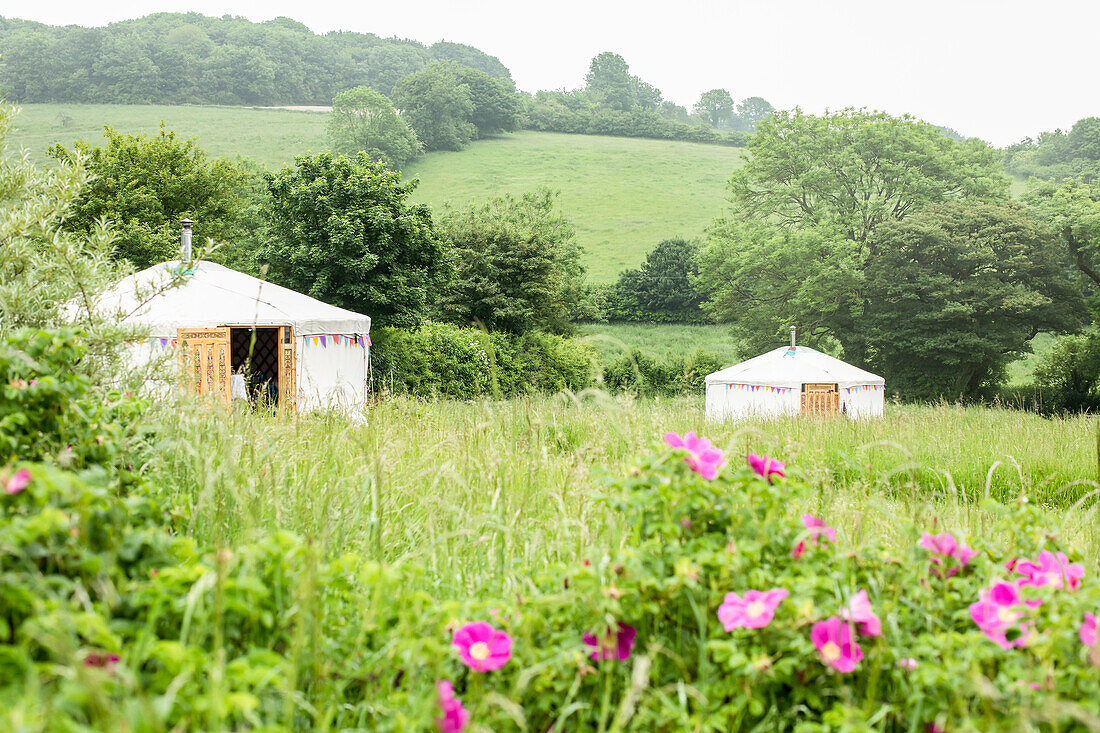 UK, Dorset, Yurts in landscape
