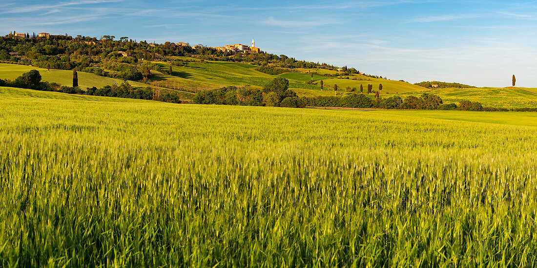 Landschaft um Pienza, Val d'Orcia, Orcia-Tal, UNESCO-Weltkulturerbe, Provinz Siena, Toskana, Italien, Europa