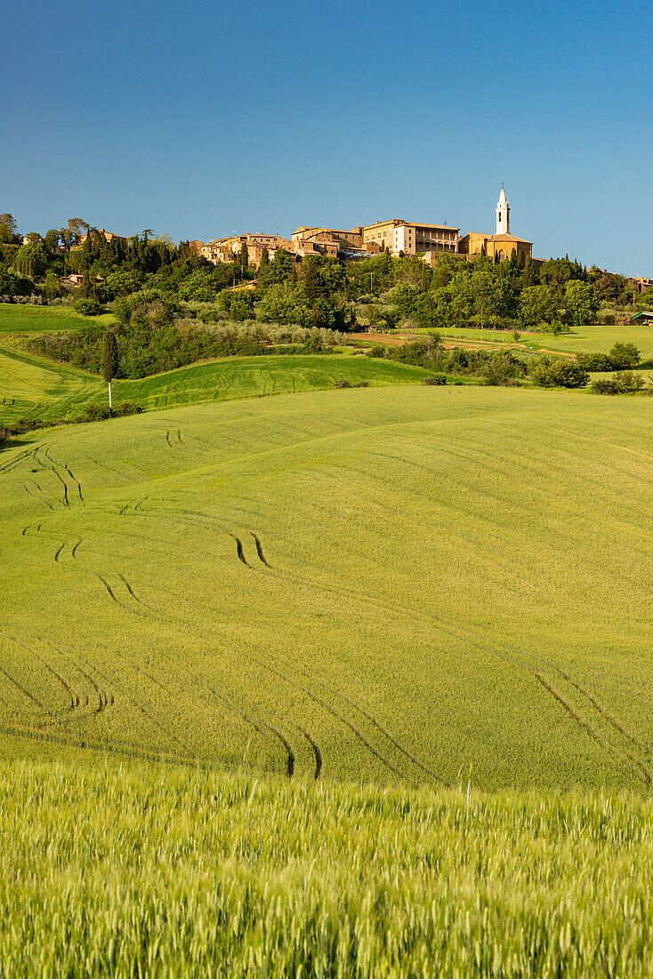 Landschaft um Pienza, Val d'Orcia, Orcia-Tal, UNESCO-Weltkulturerbe, Provinz Siena, Toskana, Italien, Europa