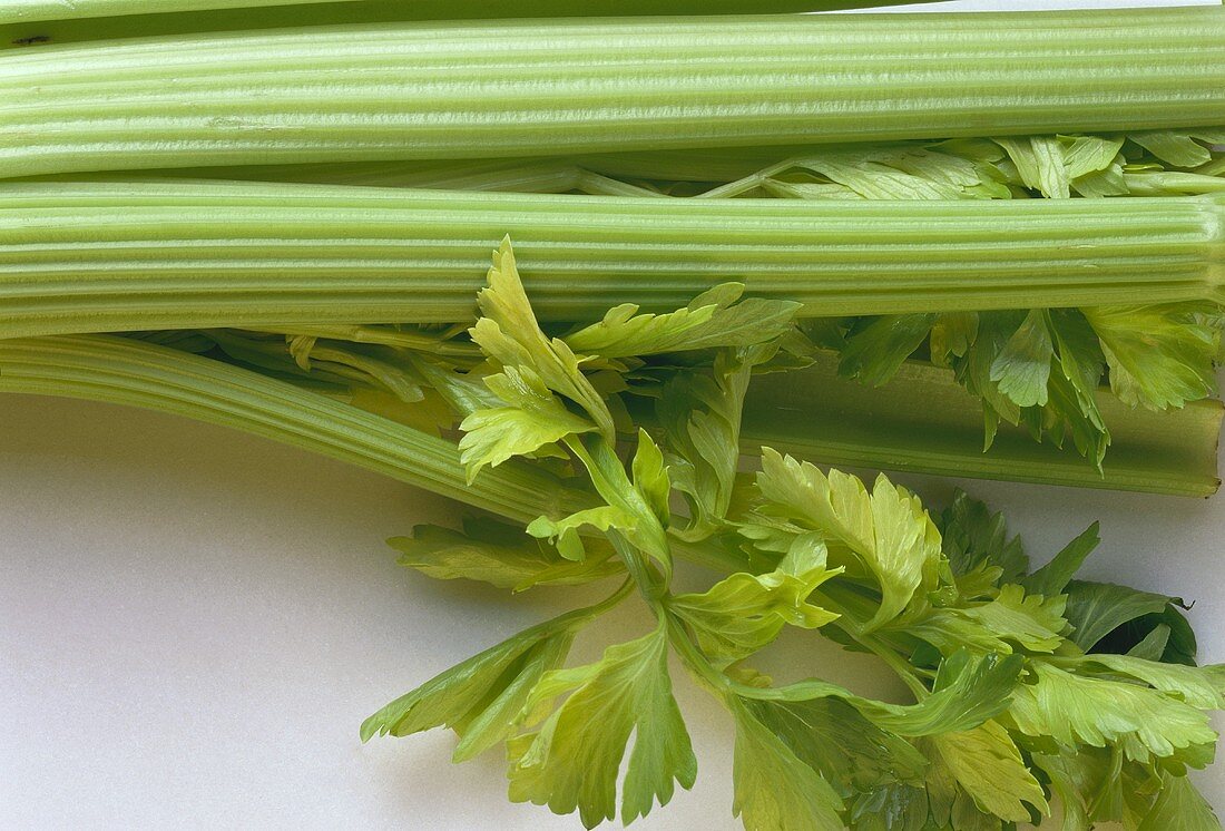 Branch Celery