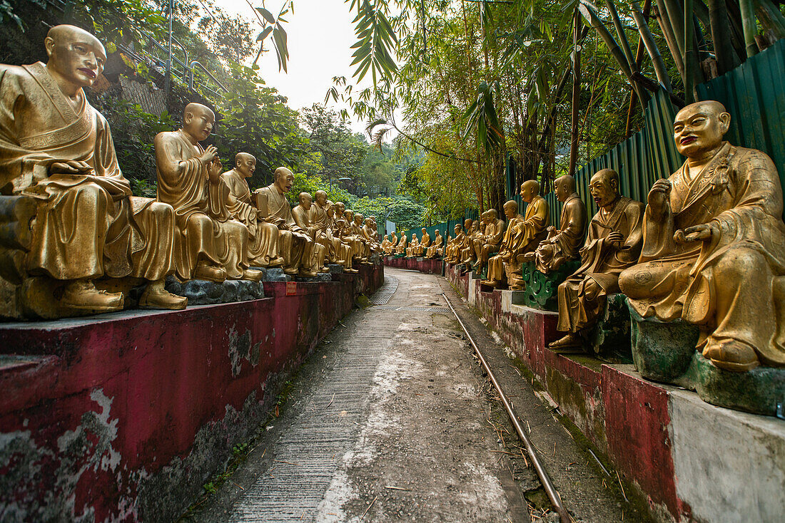 Reihen der goldenen Statue im Zehntausend-Buddha-Kloster